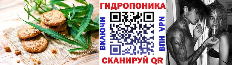 закладка  Алексеевка  Canna-Cookies марихуана 