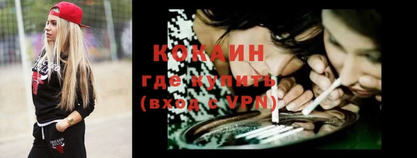 мдма Новодвинск