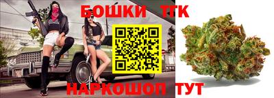 прущие грибы Абакан