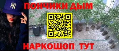 СК Абинск