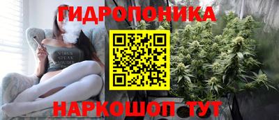 СК Абинск