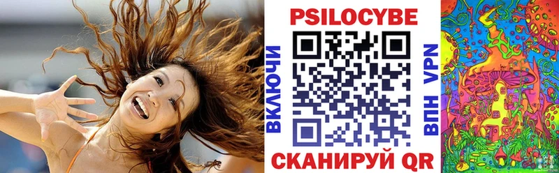 это наркотические препараты  Алексеевка  Псилоцибиновые грибы Psilocybe 