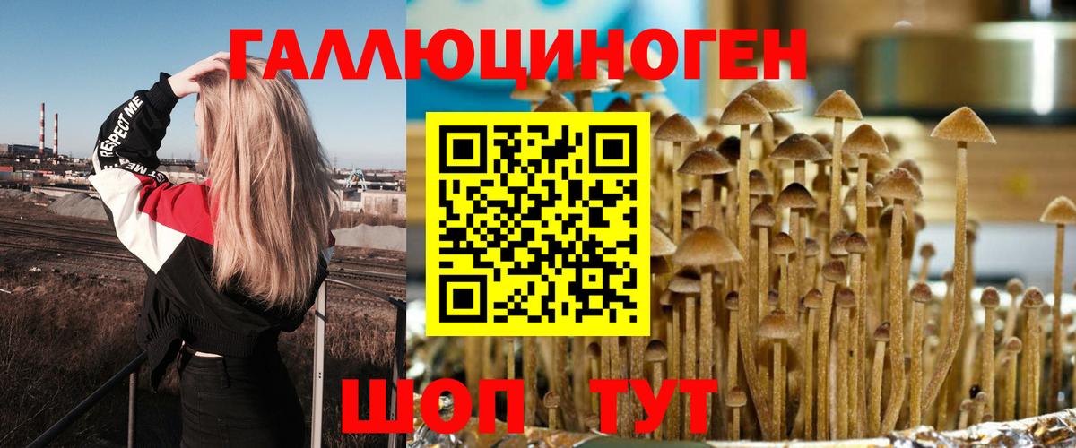 Галлюциногенные грибы MAGIC MUSHROOMS Алексеевка