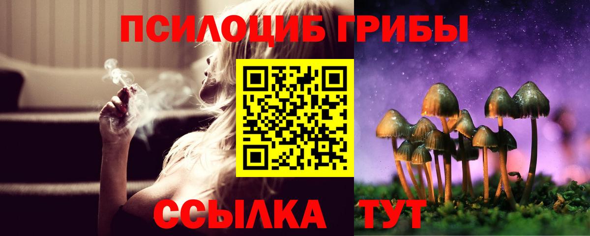 где можно купить   Алексеевка  Галлюциногенные грибы Magic Shrooms  Галлюциногенные грибы Cubensis 