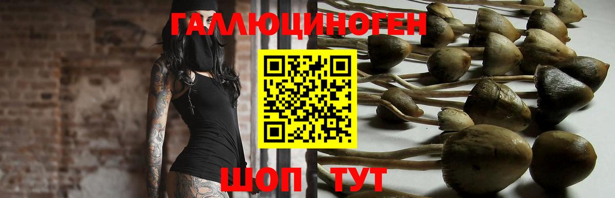 Алексеевка  Галлюциногенные грибы MAGIC MUSHROOMS  Вход с VPN 