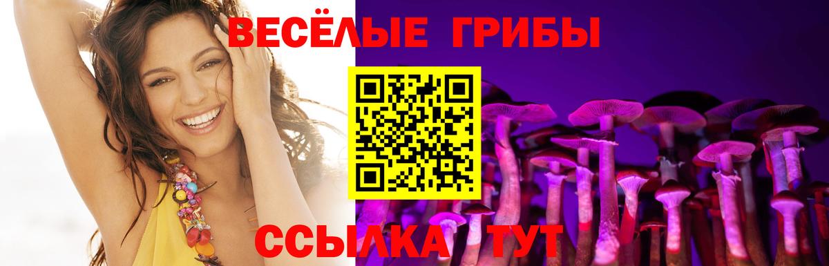 Псилоцибиновые грибы Cubensis  Вход с VPN  Алексеевка  Псилоцибиновые грибы Cubensis 