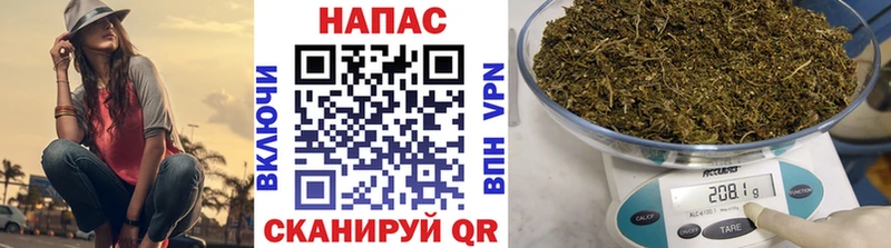 Конопля индика  Алексеевка 